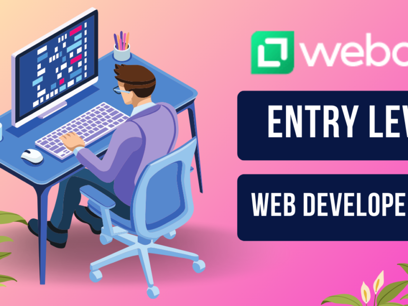 Entry Level Web Developer Jobs