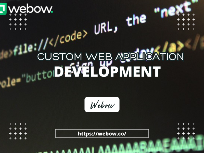 Custom Web Application Development