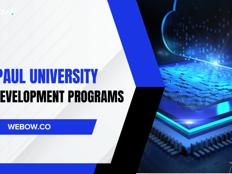 DePaul University Web Development Programs