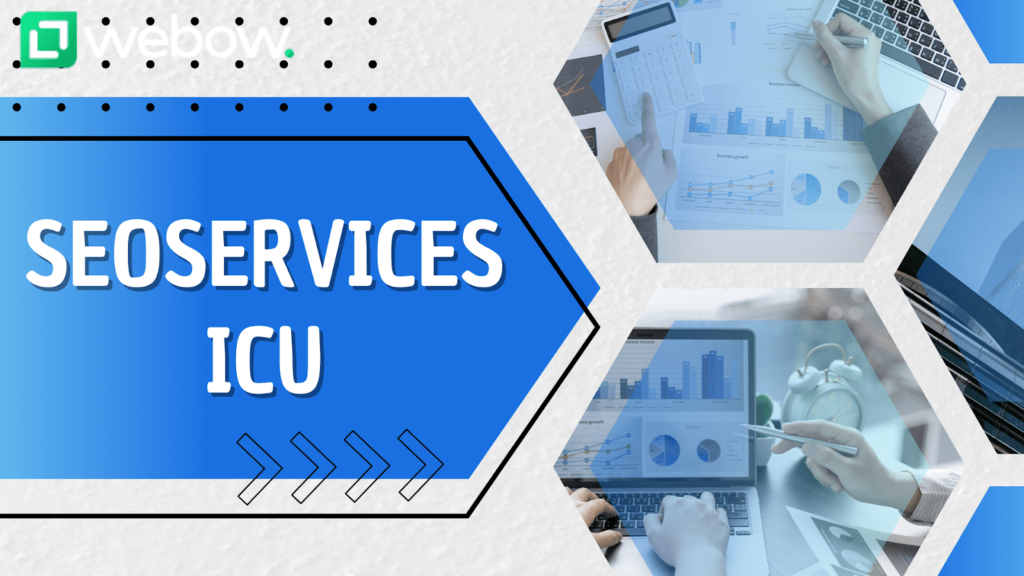 SEO Service ICU